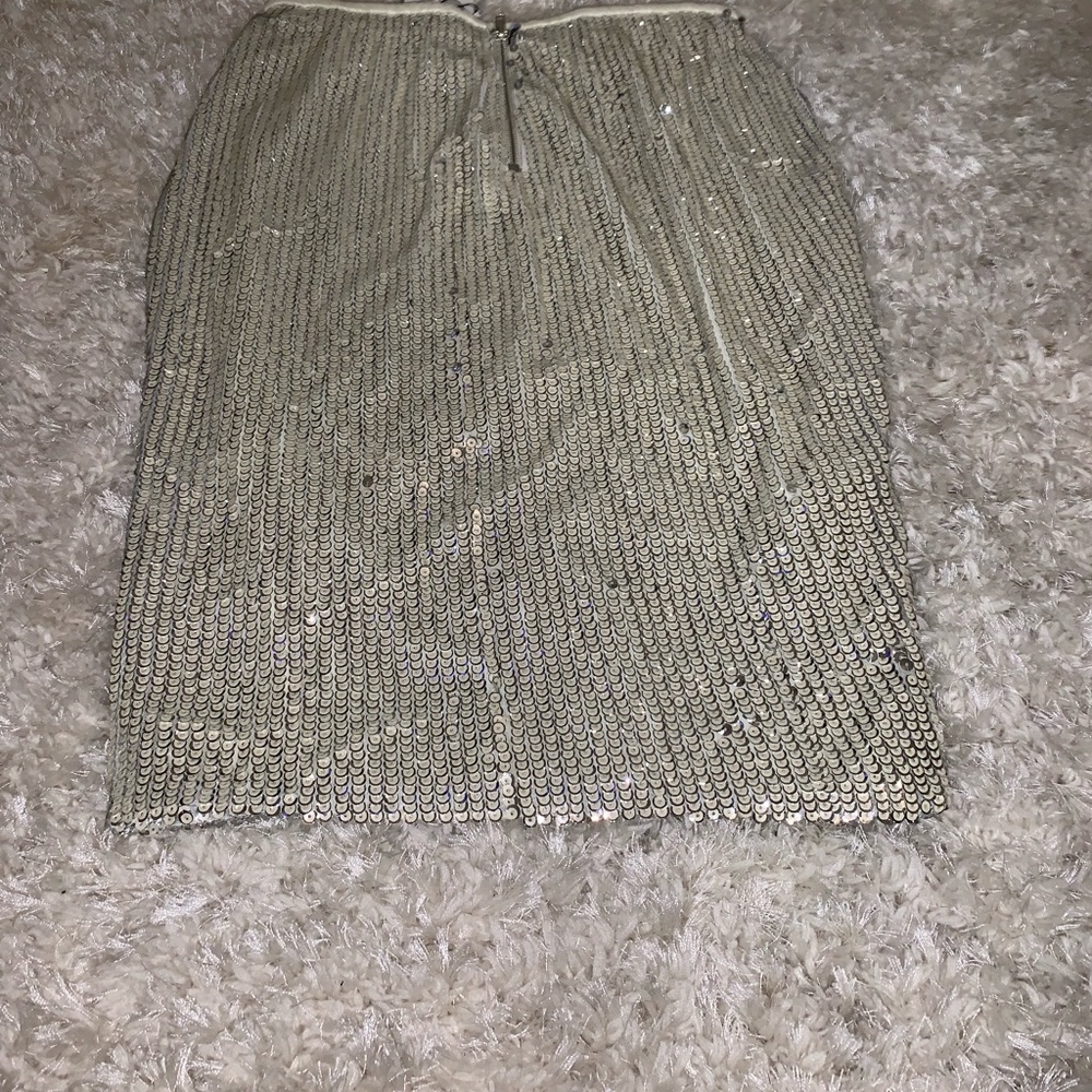 Sequin Skirts - Picture 2 of 4